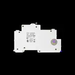 LEWDEN 50 AMP CURVE B 6kA 30mA RCBO TYPE A RCBO-50/30/SPA