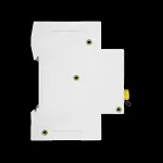 NIGLON 16 AMP CURVE B 6kA 30mA DOUBLE POLE RCBO TYPE AC RCBO2-16/30