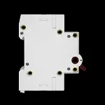 NIGLON 125 AMP DOUBLE POLE MAIN SWITCH DISCONNECTOR MS2125