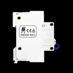 HUA JIA 100 AMP 10kA DOUBLE POLE MCB CIRCUIT BREAKER HGM45-125