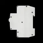 INDU-ELECTRIC C 32 RCBO 6kA 30mA TYPE A RCBO32.2-1