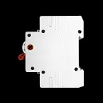 SCL 100 MAIN SWITCH DISCONNECTOR DOUBLE POLE DIS100-2
