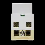 PARMLEY GRAHAM 25 AMP 30mA DOUBLE POLE ELCB RCD SEN 252-S