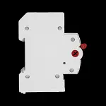 PREMSHIELD 100 AMP DOUBLE POLE MAIN SWITCH DISCONNECTOR