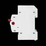 PREMSHIELD 100 AMP DOUBLE POLE MAIN SWITCH DISCONNECTOR
