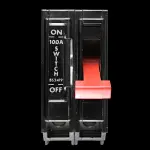 SQUARE D 100 AMP DOUBLE POLE MAIN SWITCH DISCONNECTOR QO1-100M
