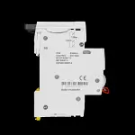 SCHNEIDER 100 AMP DOUBLE POLE MAIN SWITCH DISCONNECTOR RESI9 R9S87291