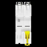 SCHNEIDER 100 AMP DOUBLE POLE MAIN SWITCH DISCONNECTOR RESI9 R9S87291