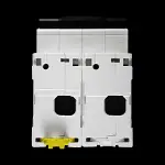 SCHNEIDER 100 AMP CURVE C 15kA DOUBLE POLE MCB CIRCUIT BREAKER C120H A9N18458