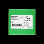 SCHNEIDER 100 AMP 30mA DOUBLE POLE RCCB RCD TYPE AC EASY9 EZ9R33291