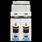 STEEPLE 100 AMP DOUBLE POLE MAIN SWITCH DISCONNECTOR