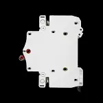 STEEPLE 100 AMP DOUBLE POLE MAIN SWITCH DISCONNECTOR