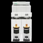 STEEPLE 100 AMP DOUBLE POLE MAIN SWITCH DISCONNECTOR