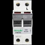 STEEPLE 100 AMP DOUBLE POLE MAIN SWITCH DISCONNECTOR DSB100 LR
