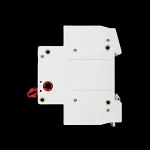 WE 100 MAIN SWICH DISCONNECTOR DOUBLE POLE WEISO AC-22