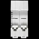 WE 100 MAIN SWICH DISCONNECTOR DOUBLE POLE WEISO AC-22