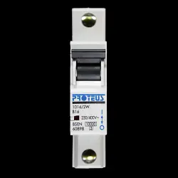 PROTEUS 16 AMP CURVE B 10kA MCB CIRCUIT BREAKER 1016/2W