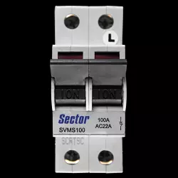 SECTOR 100 AMP DOUBLE POLE MAIN SWITCH DISCONNECTOR SVMS100 BLUE