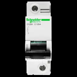 SCHNEIDER 125 AMP CURVE C 15kA MCB CIRCUIT BREAKER A9N18448 C120H