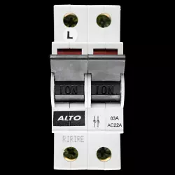 ALTO 63 AMP DOUBLE POLE MAIN SWITCH DISCONNECTOR AC22A LL