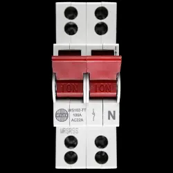 WYLEX 100 AMP DOUBLE POLE MAIN SWITCH DISCONNECTOR WS102-TT AC22A
