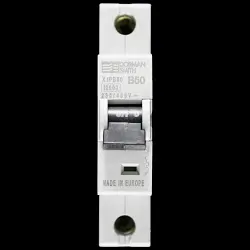 DORMAN SMITH 50 AMP CURVE B 10kA MCB CIRCUIT BREAKER X1PB50
