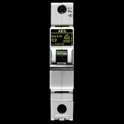 AEG C 2 MCB 6kA CIRCUIT BREAKER ELFA E81