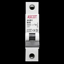 ASCOT 40 AMP CURVE B 6kA MCB CIRCUIT BREAKER AUB1