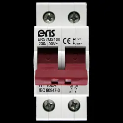 ERIS 100 AMP MAIN SWITCH DISCONNECTOR DOUBLE POLE ERS2MS100
