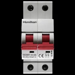 HAMILTON 100 MAIN SWITCH DISCONNECTOR DOUBLE POLE