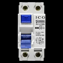 ICG 80 AMP 300mA DOUBLE POLE RCD TYPE AC 80300/2
