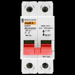 MERLIN GERIN 125 AMP DOUBLE POLE MAIN SWITCH DISCONNECTOR MGI1252