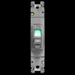 MITSUBISHI 63 MCCB 15kA NO-FUSE BREAKER NF100-SS BS947