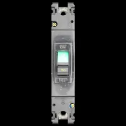 MITSUBISHI 50 MCCB 15kA NO-FUSE BREAKER NF100-SS