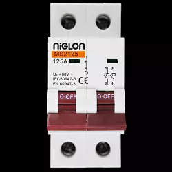 NIGLON 125 AMP DOUBLE POLE MAIN SWITCH DISCONNECTOR MS2125