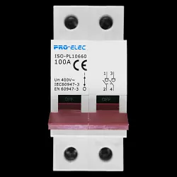 PRO-ELEC 100 AMP DOUBLE POLE MAIN SWITCH DISCONNECTOR ISO-PL10660