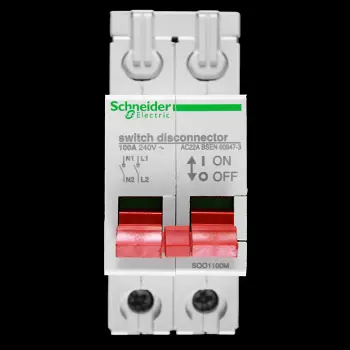 SCHNEIDER 100 AMP DOUBLE POLE MAIN SWITCH DISCONNECTOR SQO1100M