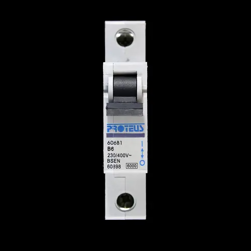 PROTEUS 6 AMP CURVE B 6kA MCB CIRCUIT BREAKER GEYER 606B1
