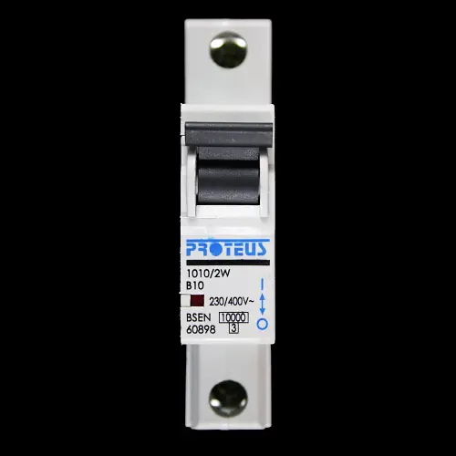 PROTEUS 10 AMP CURVE B 10kA MCB CIRCUIT BREAKER 1010/2W