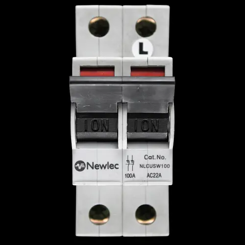 NEWLEC 100 AMP DOUBLE POLE MAIN SWITCH DISCONNECTOR AC22A NLCUSW100