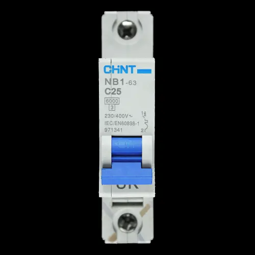 CHINT 25 AMP CURVE C 6kA MCB CIRCUIT BREAKER NB1-63