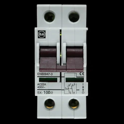 F&G 100 AMP DOUBLE POLE MAIN SWITCH DISCONNECTOR SX-100/2