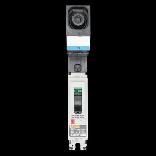 MERLIN GERIN 63 AMP 25kA MCCB NS100N MGP0631B