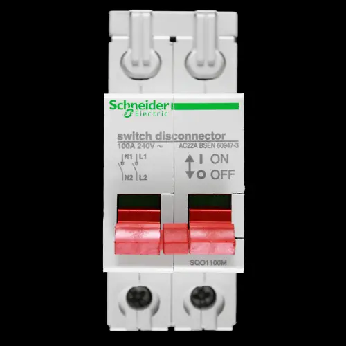 SCHNEIDER 100 AMP DOUBLE POLE MAIN SWITCH DISCONNECTOR SQO1100M