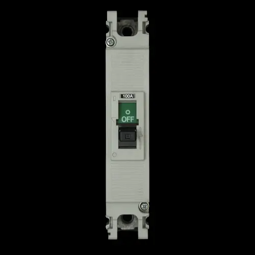 DORMAN SMITH 100 AMP 25kA MCCB YA2N1P100T LOADLINE