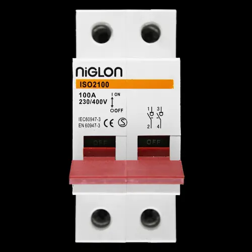 NIGLON 100 AMP DOUBLE POLE MAIN SWITCH DISCONNECTOR ISO2100