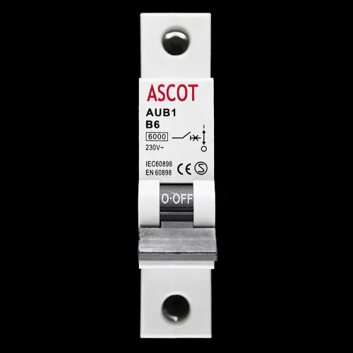 ASCOT B 6 MCB 6kA CIRCUIT BREAKER AUB1 S1