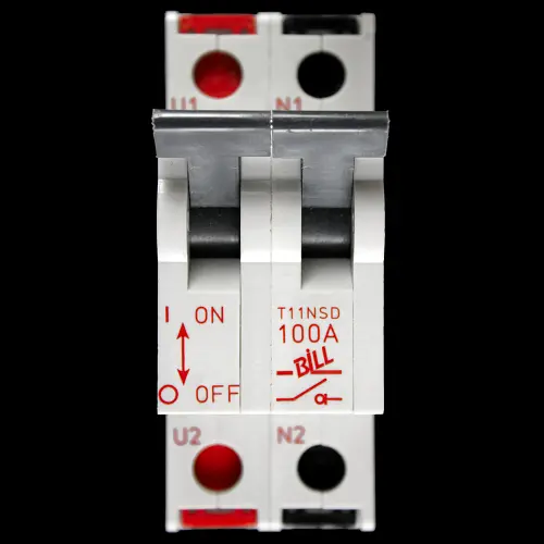 BILL 100 AMP DOUBLE POLE MAIN SWITCH DISCONNECTOR T11NSD