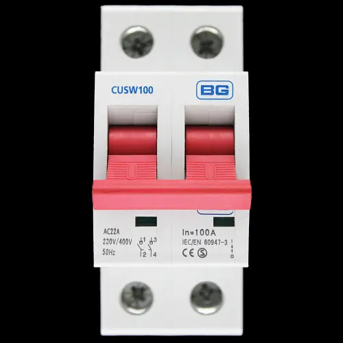BRITISH GENERAL 100 AMP DOUBLE POLE MAIN SWITCH DISCONNECTOR CUSW100 BG S2