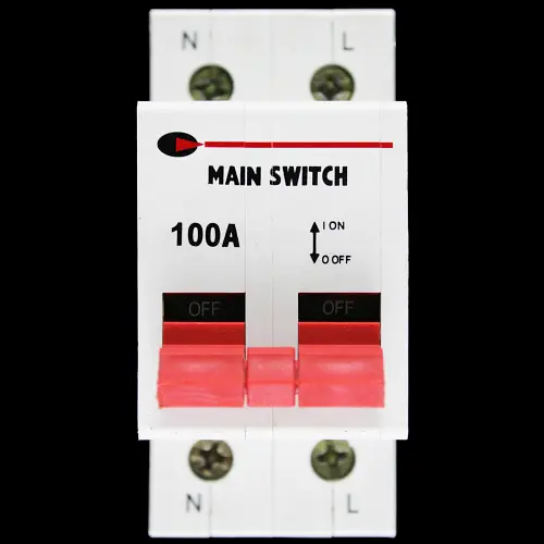 CGD 100 AMP DOUBLE POLE MAIN SWITCH DISCONNECTOR CGD-100MS